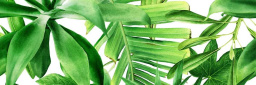Фото плитки CERAMIKA COLOR PREMIUM GARDEN TROPIC B ДЕКОР 25X75X0,9 из коллекции CERAMIKA COLOR PREMIUM 