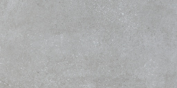 Фото плитки PAMESA VITA GRIS MATT 60x120 из коллекции PAMESA VITA 