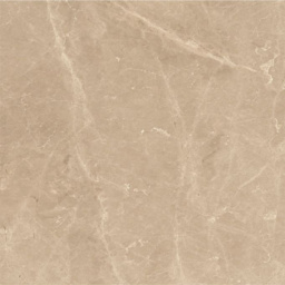 Фото плитки ATLAS CONCORDE STYLE BEIGE SAFARI LAPP 60Х60 из коллекции ATLAS CONCORDE STYLE 