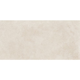 Фото плитки ROCERSA MIXTONE WHITE 60X120 из коллекции ROCERSA MIXTONE 