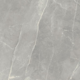 Фото плитки PARADYZ RITUAL GREY GRES SZKL. REKT. MAT 89,8X89,8 из коллекции PARADYZ MY WAY RITUAL 