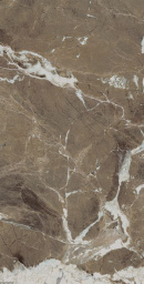 Фото плитки CENTURY MEDLEY MAJESTY MOLATA RET 60X120 из коллекции CENTURY MEDLEY 