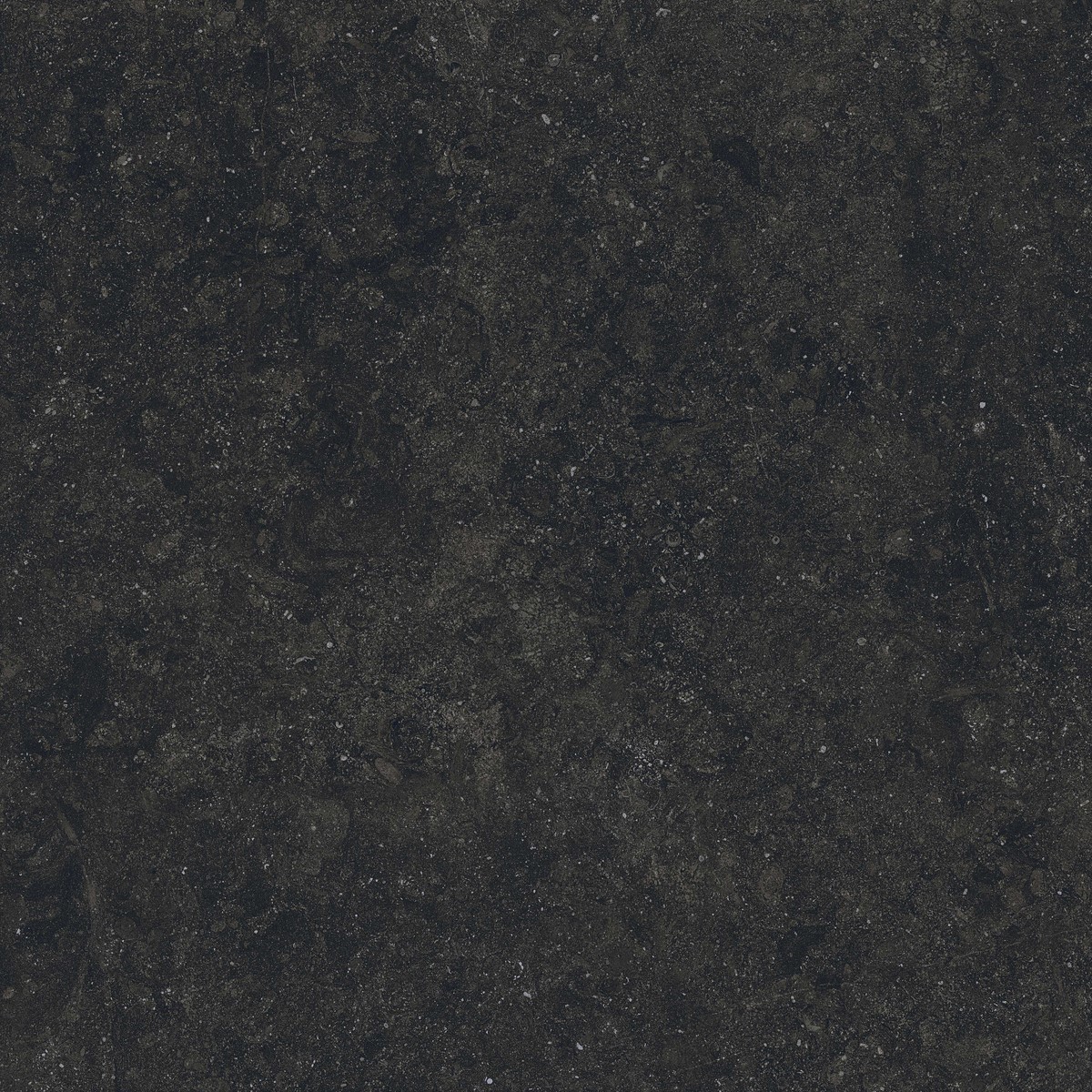 Фото плитки COVERLAM BLUE STONE NEGRO 5.6 MM 100x100 из коллекции COVERLAM BLUE STONE 