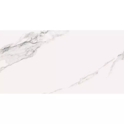 Фото плитки LA PLATERA DENARIUS 60X120 из коллекции LA PLATERA DENARIUS 