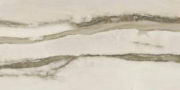 Фото плитки AZTECA CERAMICA AMAZONAS FOREST MAT 60X120 из коллекции AZTECA AMAZONAS 
