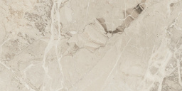 Фото плитки FANAL ELEGANCE MARFIL REC. 60Х120 из коллекции FANAL ELEGANCE 