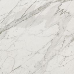 Фото плитки ATLAS CONCORDE MARVEL PRO STATUARIO SELECT 60X60 из коллекции ATLAS CONCORDE MARVEL PRO 