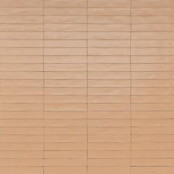 Фото плитки RAGNO WISH PETAL RCGC 5,3X30 из коллекции RAGNO WISH 