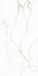 Фото плитки TAGINA SEGESTA VERDE LUCIDATO RET POL 127043 60x120 из коллекции TAGINA SEGESTA 