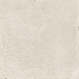 Фото плитки TAGINA NAMUR BLANCHE NAT MAT RET 136011 60X60 из коллекции TAGINA NAMUR 