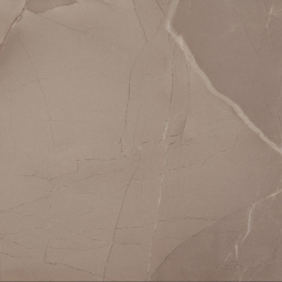 Фото плитки AZTECA CERAMICA PASSION LUX 60 TAUPE 60X60 B37 из коллекции AZTECA PASSION 