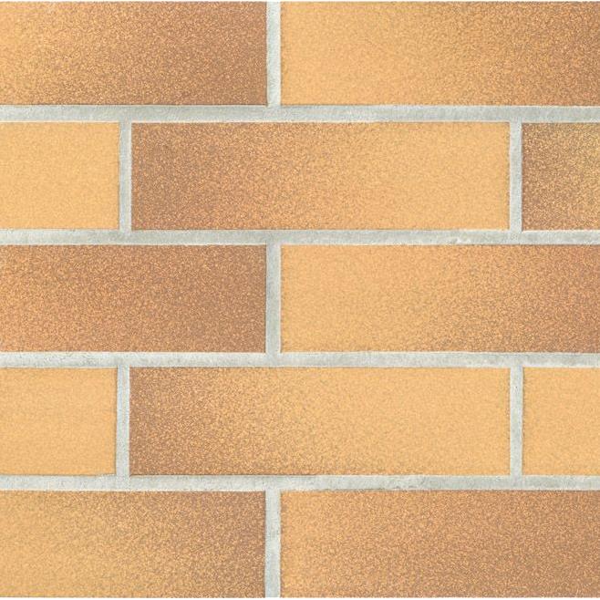 Фото плитки SDS RENO RIEMCHEN 7.1x24 из коллекции SDS RENO 