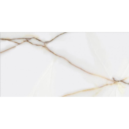 Фото плитки STARGRES ICON POLISHED RECT. 120X60 (SGR13-1) из коллекции STARGRES ICON 