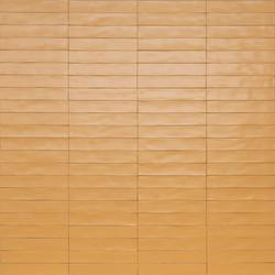 Фото плитки RAGNO WISH YELLOW RCGD 5,3X30 из коллекции RAGNO WISH 