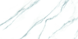 Фото плитки FANAL CARRARA REC.LAPADO 60Х120X9,2 из коллекции FANAL CARRARA 