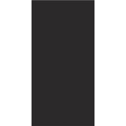 Фото плитки ANATOLIA BLACK SILHOUETTE POLISHED AM99P 119,8X279,8X0,6 из коллекции ANATOLIA 