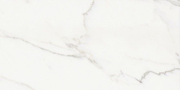 Фото плитки CRISTACER ARTICO WHITE HOME 60Х120 из коллекции CRISTACER ARTICO 