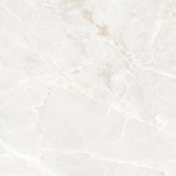 Фото плитки ECOCERAMIC BRASILIA WHITE 60Х60 017 из коллекции ECOCERAMIC BRASILIA 