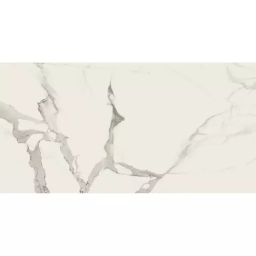 Фото плитки BALDOCER STATUARIO NATURAL RECT. 60X120 из коллекции BALDOCER STATUARIO 