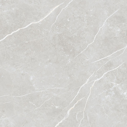 Фото плитки TAU CERAMICA ELITE SILVER PUL 60x60x0,9 из коллекции TAU CERAMICA ELITE 