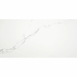 Фото плитки ALAPLANA PUNE P.E. BLANCO MATE 60X120 из коллекции ALAPLANA PUNE 