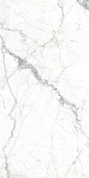 Фото плитки FANAL WINDSOR DECOR B WHITE NPLUS 60Х120 из коллекции FANAL WINDSOR 