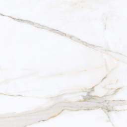 Фото плитки ITALICA REGAL CARARA POLISHED 60X60 из коллекции ITALICA REGAL CARARA 