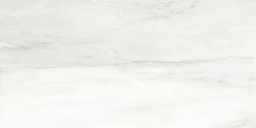 Фото плитки AZULEV GRUPO BIANCO DELICATTO POLISHED 60X120 из коллекции AZULEV GRUPO BIANCO DELICATTO 