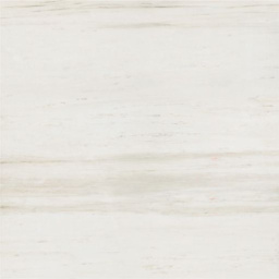 Фото плитки ATLAS CONCORDE STYLE BIANCO WINTER 45Х45 из коллекции ATLAS CONCORDE STYLE 