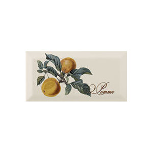 Фото плитки MONOPOLE PROVENCE POMME 10x20 из коллекции MONOPOLE PROVENCE 