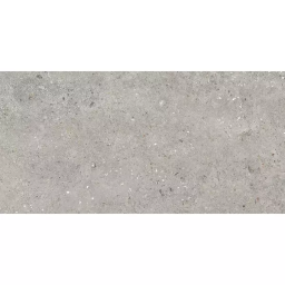 Фото плитки CERSANIT RIALTO GREY MATT 59,8X119,8 из коллекции CERSANIT RIALTO 