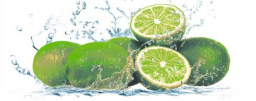 Фото плитки CER-ROL IMPERIA LEMON 1 CENTRO POL 20X50 из коллекции CER-ROL IMPERIA 