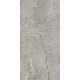 Фото плитки FIANDRE MARBLE LAB SILVER ROOT AF326X864 120X60X0,8 из коллекции FIANDRE MARBLE LAB 