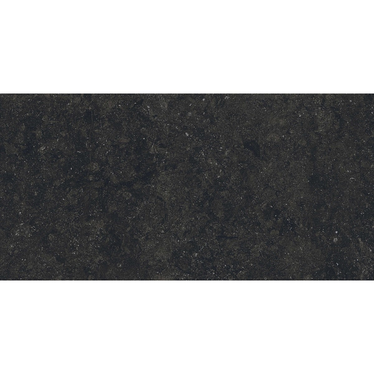 Фото плитки COVERLAM BLUE STONE NEGRO 5.6 MM 50x100 из коллекции COVERLAM BLUE STONE 