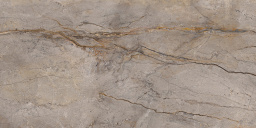Фото плитки APAVISA WILD FOREST GREY POLISHED 59,55x119,3x0,6 из коллекции APAVISA WILD FOREST 
