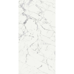 Фото плитки REX LES ORIGINES BLANC 769856 60X120X1 из коллекции REX LES ORIGINES DE REX 