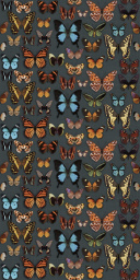 Фото плитки ABK WIDESTYLE PAPILLON DIGIT 3735 60X120 из коллекции ABK WIDESTYLE 