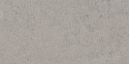 Фото плитки TAU CERAMICA CALCARE SILVER REC 30x60 из коллекции TAU CERAMICA CALCARE 