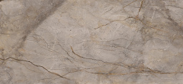 Фото плитки APAVISA WILD FOREST GREY POLISHED 119,3x260 из коллекции APAVISA WILD FOREST 
