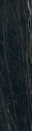 Фото плитки REX PREXIOUS THUNDER NIGHT GLOSSY 755860 30X120 из коллекции REX PREXIOUS 