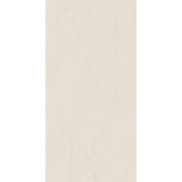 Фото плитки INTERGRES DUSTER СВЕТЛО-БЕЖЕВЫЙ 120х60 из коллекции INTERGRES DUSTER 