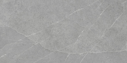 Фото плитки PAMESA LAVAGNA PIETRA DI ARGENTO ADZ 60x120 из коллекции PAMESA PIETRA DI LAVAGNA 