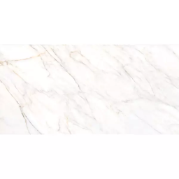 Фото плитки PERONDA-MUSEUM GIOIA SILVER/60X120/EP 60X120 из коллекции PERONDA-MUSEUM GIOIA 