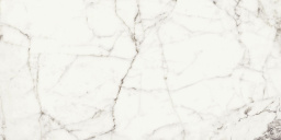 Фото плитки NAXOS RHAPSODY WHITE FUN NAT RET 60X120 из коллекции NAXOS RHAPSODY 