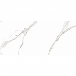 Фото плитки RAVIRAJ ARONA SATUARIO 60x120x1 из коллекции RAVIRAJ SERIES 60x120 