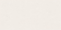 Фото плитки ABK WIDE & STYLE MINI SNOW RET 60X120 из коллекции ABK WIDE & STYLE 