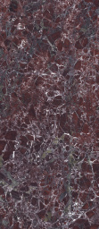 Фото плитки ENERGIEKER LEVANTE POLISHED 120X280X0.6 из коллекции ENERGIEKER LEVANTE 