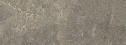 Фото плитки NAXOS GRAND TOUR IMPERIALE GRIGIO RET 42,5X119 из коллекции NAXOS GRAND TOUR 