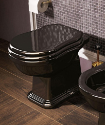 НАПОЛЬНЫЙ УНИТАЗ FLAMINIA EFI, BLACK (EF117)