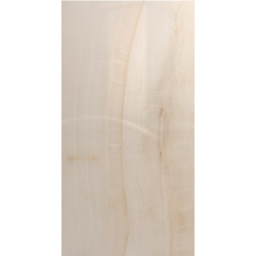 Фото плитки KUTAHYA OPAL BONE RT POLISH N 60X120 из коллекции KUTAHYA OPAL 